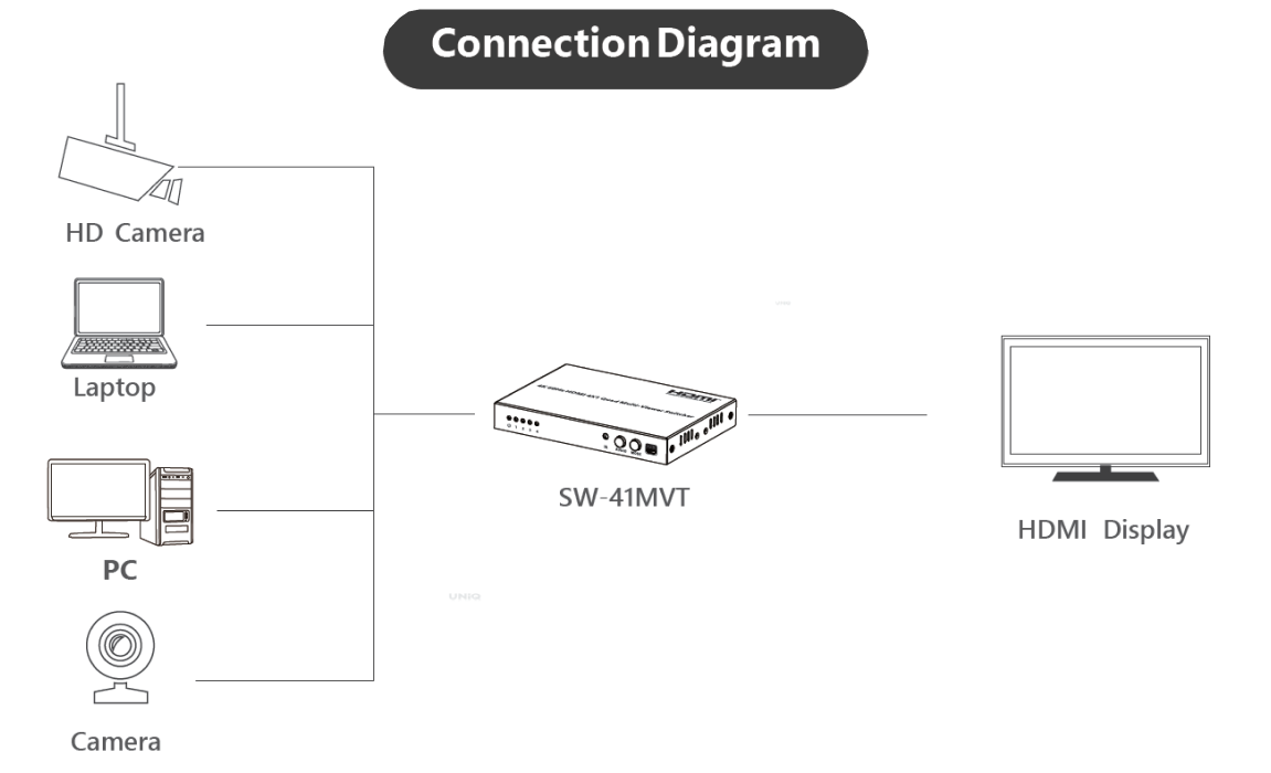 SW-41MVT Schematic Diagram