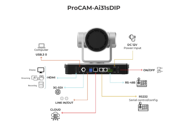 ProCAM-Ai31sDIP schematics